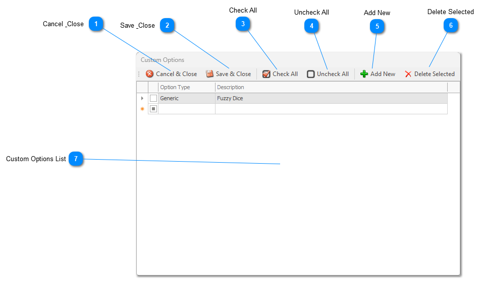 Custom Options window